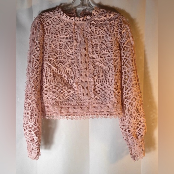 Amylynn Crochet Lace Crop Women's Blouse in Soft Pink - S - Picture 3 of 7